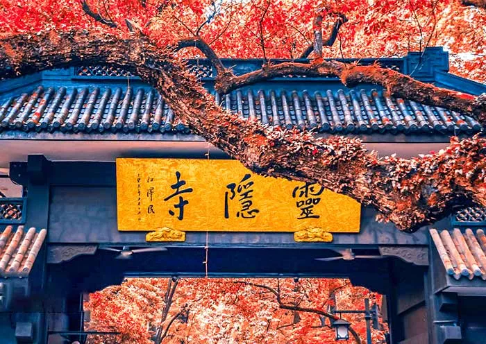 Sacred Serenity: 2-Day Mount Putuo Buddhist Heritage Tour from Hangzhou