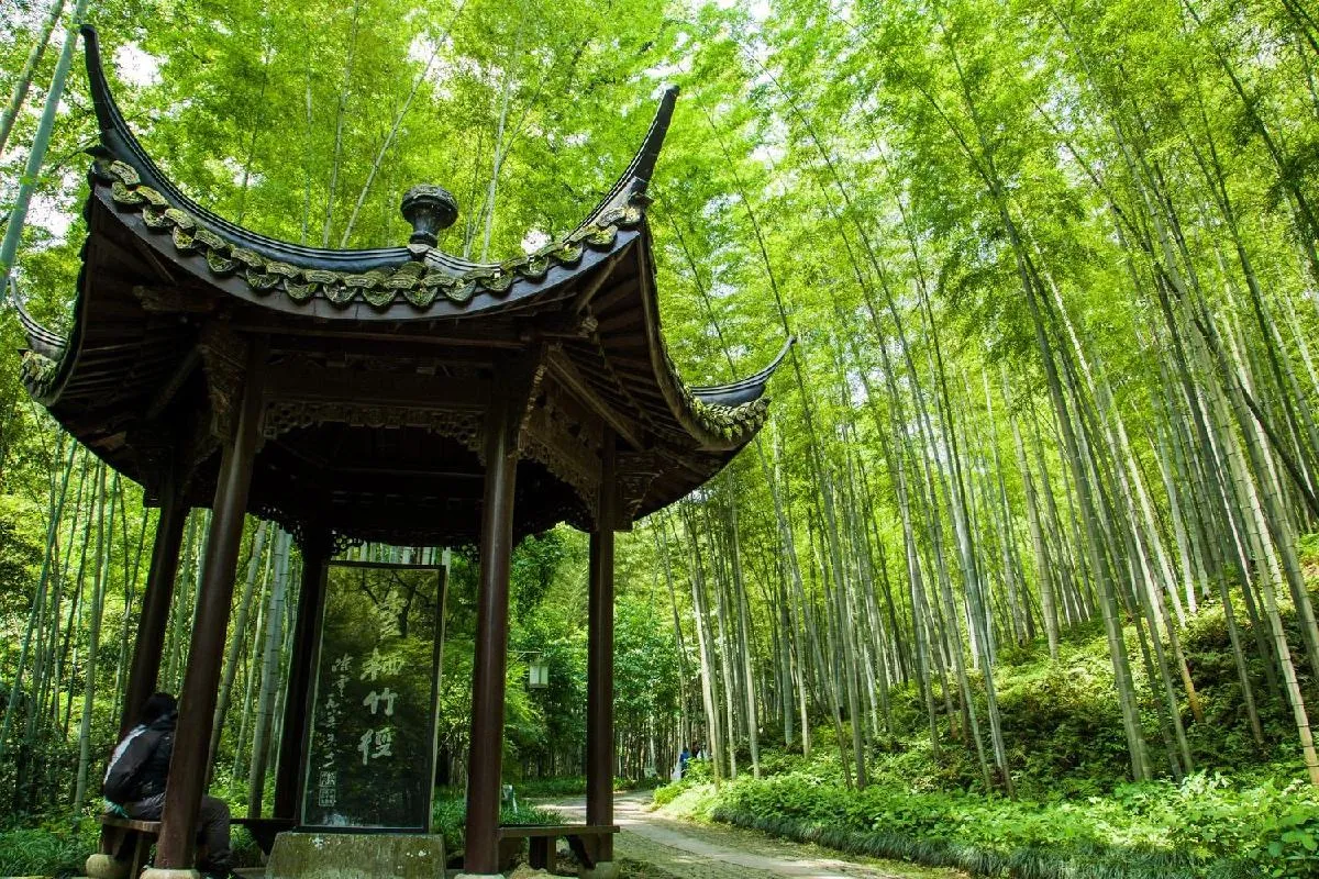 Bamboo-lined Path at Yunqi